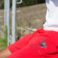 Rise Shorts
