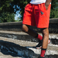 Rise Shorts